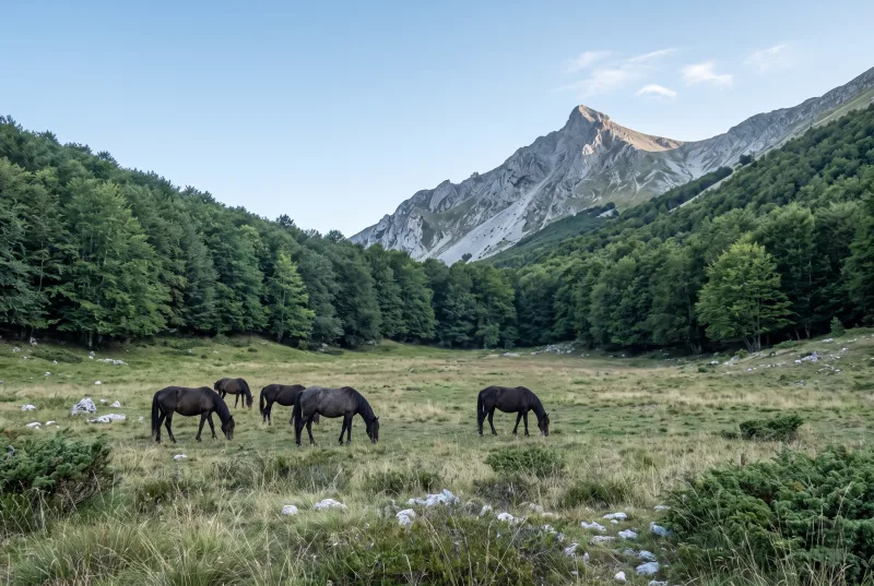 Agriturismi in Abruzzo