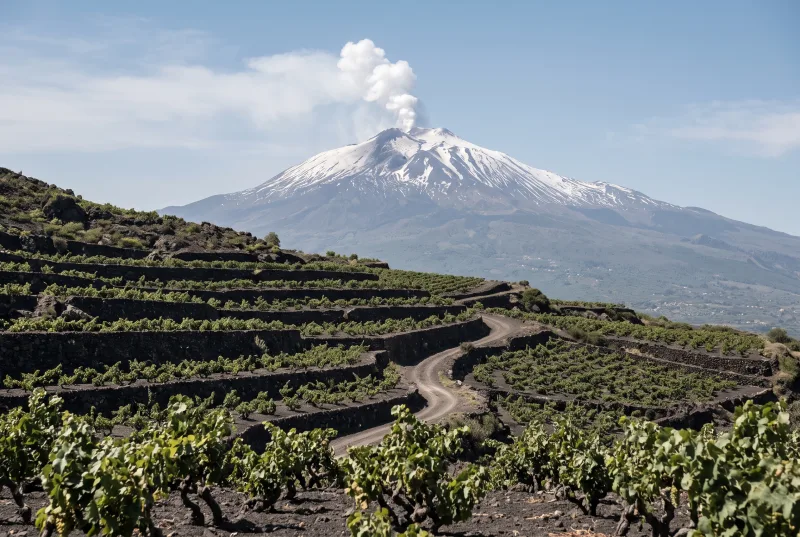 Agriturismi in Sicilia