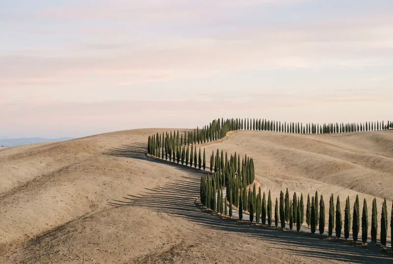 Agriturismi in Toscana